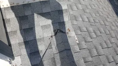 Rod the Roofer