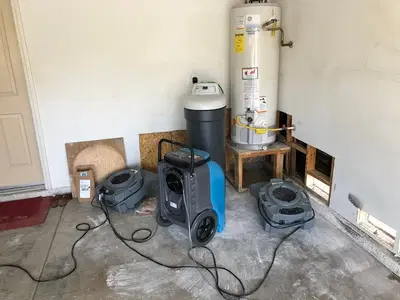 Business Photo