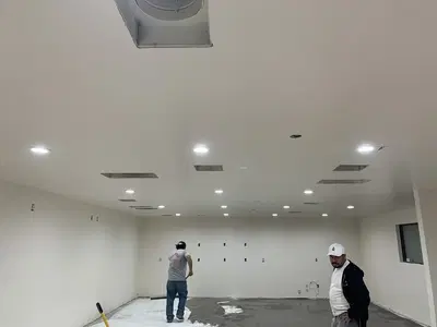 Electrical Handyman Services