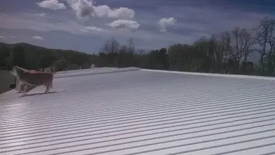 New York Central Spray Coat LLC