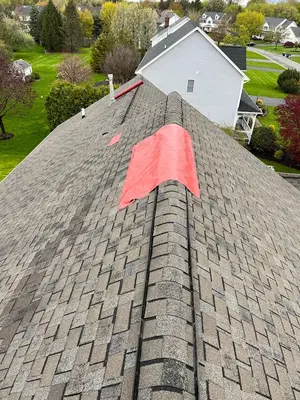 Roof Rangers