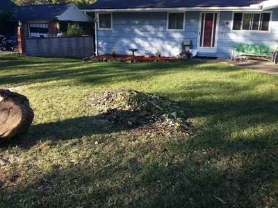 Johnson @sons handyman services