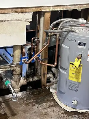 A Rooter Man