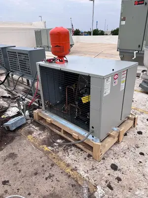 The Refrigerated Bear LLC