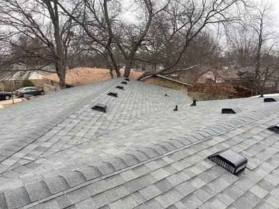 Mighty Dog Roofing
