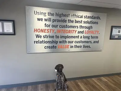 Business Photo