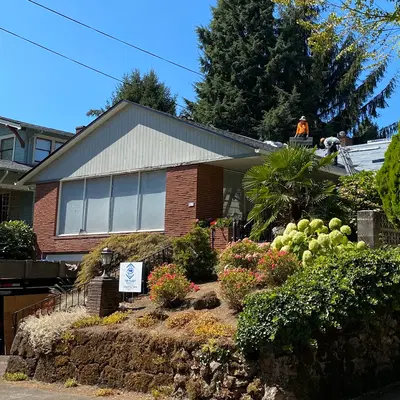 Business Photo