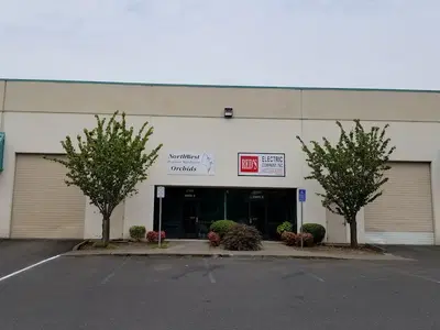 Business Photo