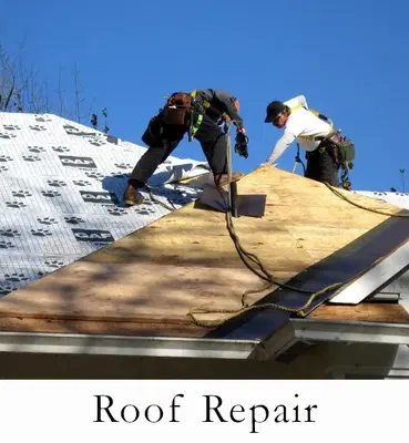SFW Construction LLC
