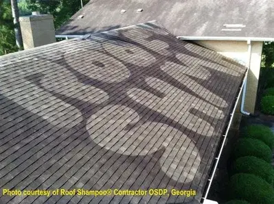 First Aid Roof Care