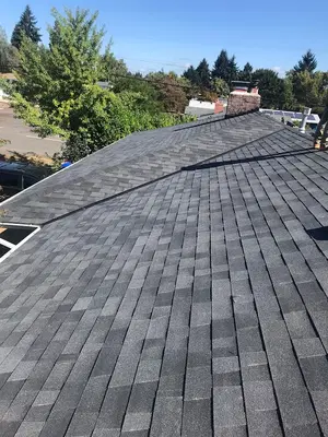 Universal Roofing & Tree Service LLC
