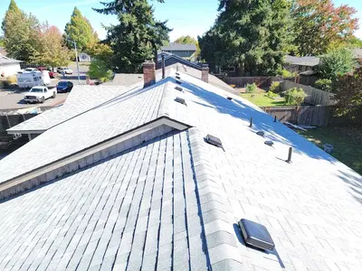 Predator Roofing & Construction