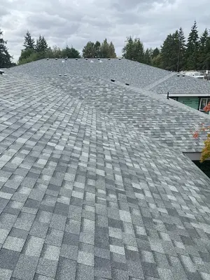 IronHead Roofing
