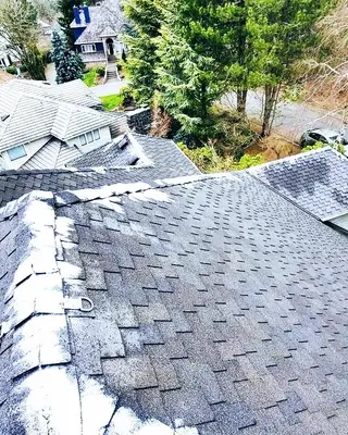 Clearview Roof Cleaning
