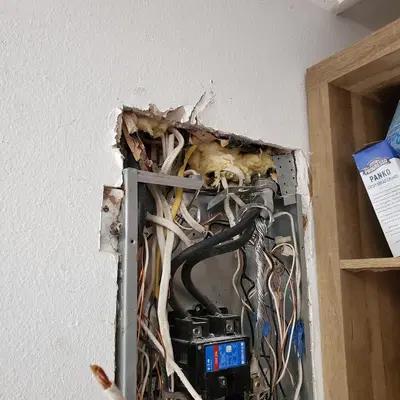 Unlimited Electric