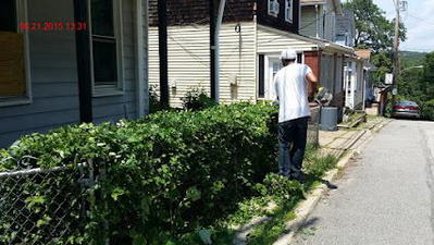 Odd Jobs Property Maintenance