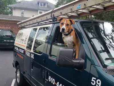 Business Photo