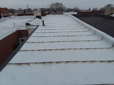 Fortuna Roofing