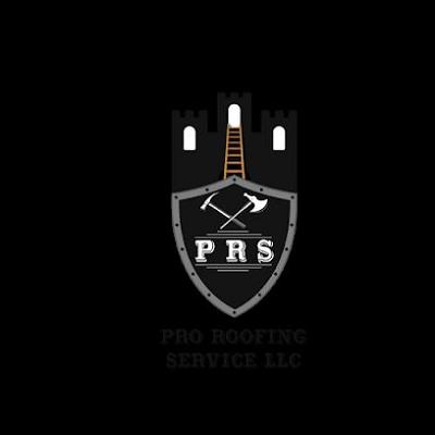 Pro Roofing Service