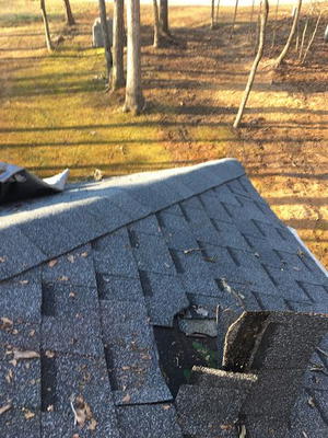 Bee Roofing