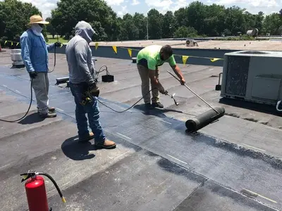 Roof Options Southeast