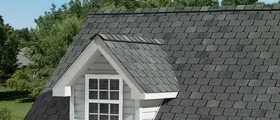 BCI Shingle Specialist