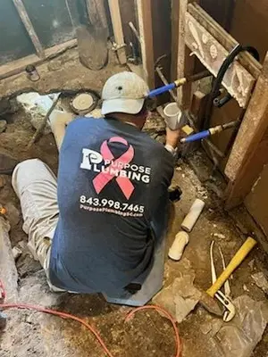Purpose Plumbing