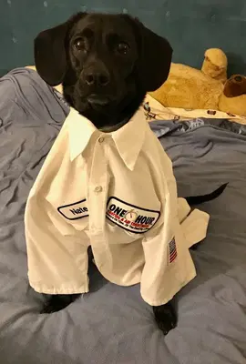 Business Photo