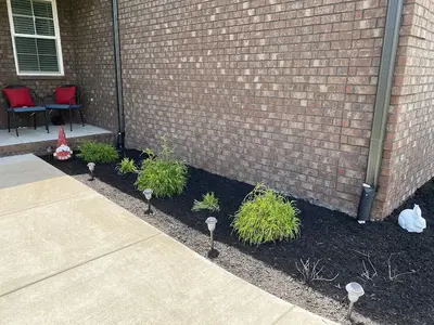 Home & Lawn Services LLC