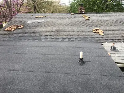 Daniel Hood Roofing