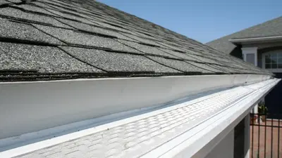 The Gutter Professionals