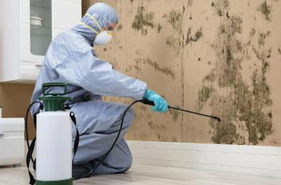 Reliable Handyman Services