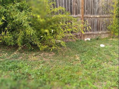 Gabe's Lawncare and Handyman Services