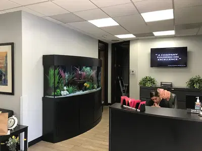 Business Photo
