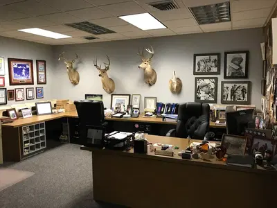 Business Photo