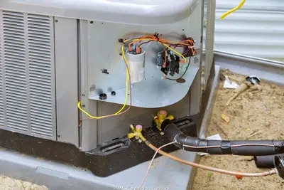 Business Photo