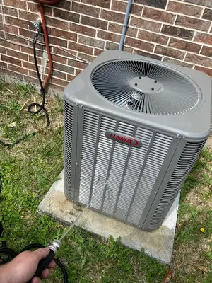 No Sweat Experts