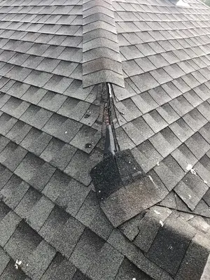 Revival Roofing