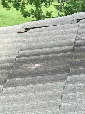 Fireman Roofing