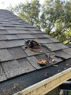 Absolute Construction
