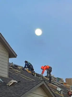 Alpha 1 Roofing