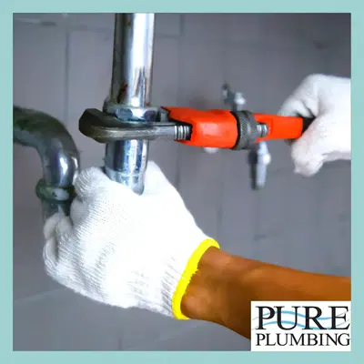 Pure Plumbing