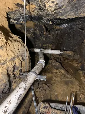 Rootsy Tootsy Plumber