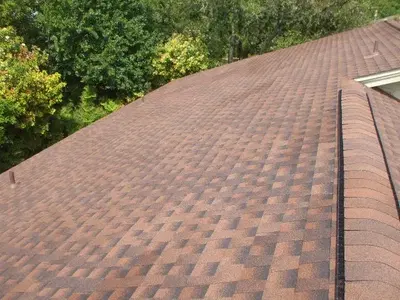 Ruddy's Roofing