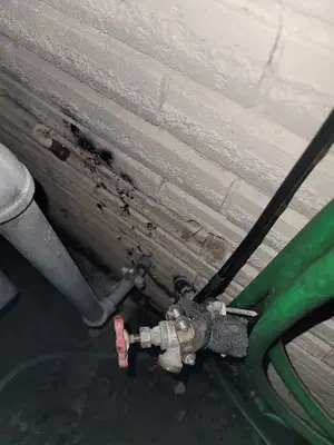 Pasadena Plumbing Services Inc