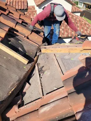 Castro Roofing