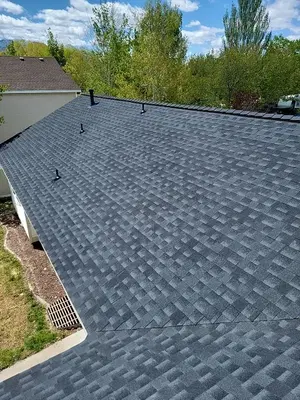 The Roof Doctor