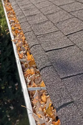 Unlimited Siding & Raingutter Inc.
