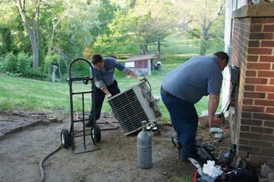 Michael & Son Services