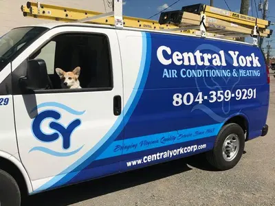 Business Photo